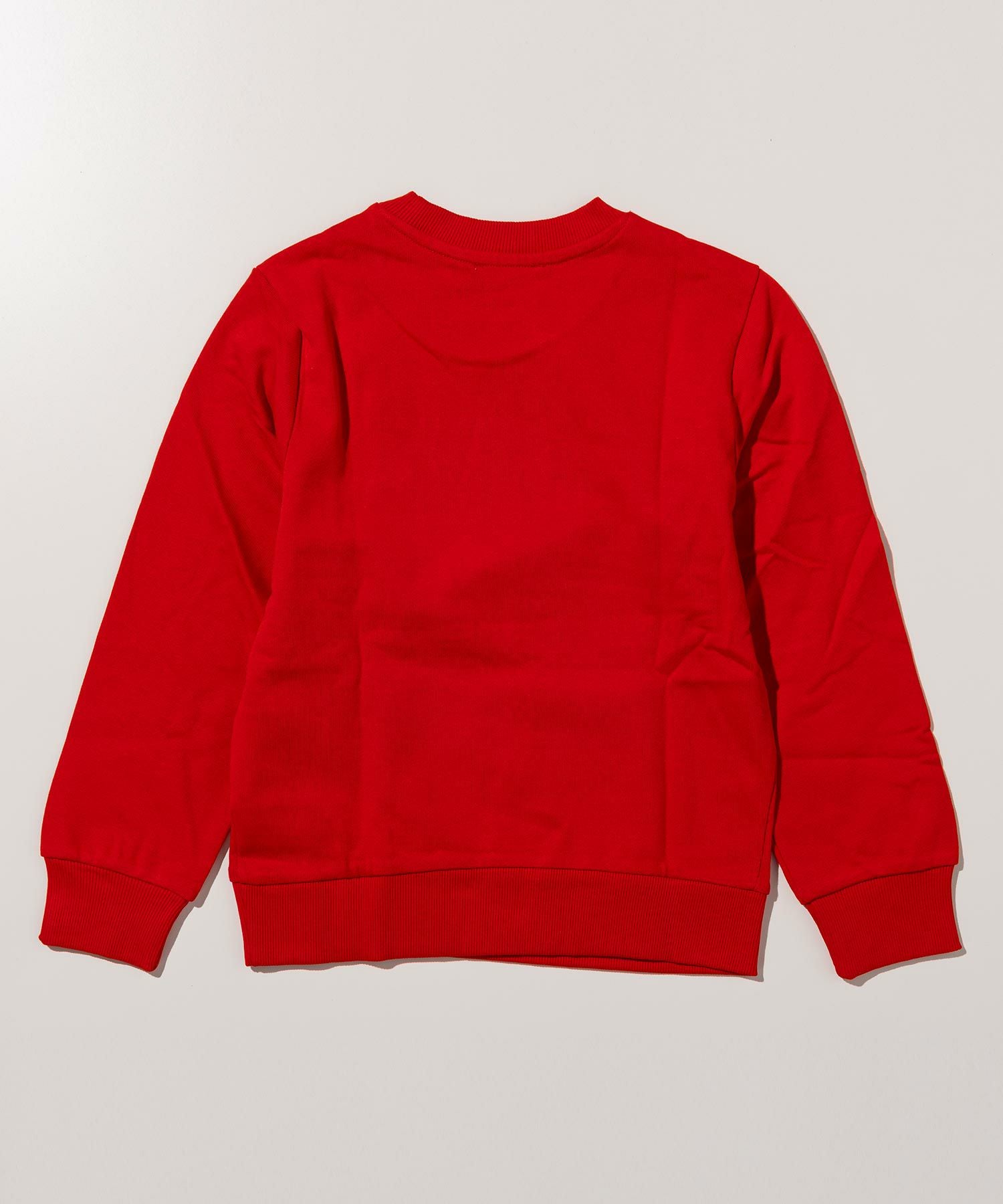 DIESEL(ディーゼル)Kids & Junior ブランドロゴスウェットプルオーバー DIESEL(ディーゼル)Kids & Junior ブランドロゴスウェットプルオーバー